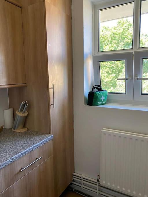 Lovely 2 Bedroom Flat In Greater 伦敦 外观 照片
